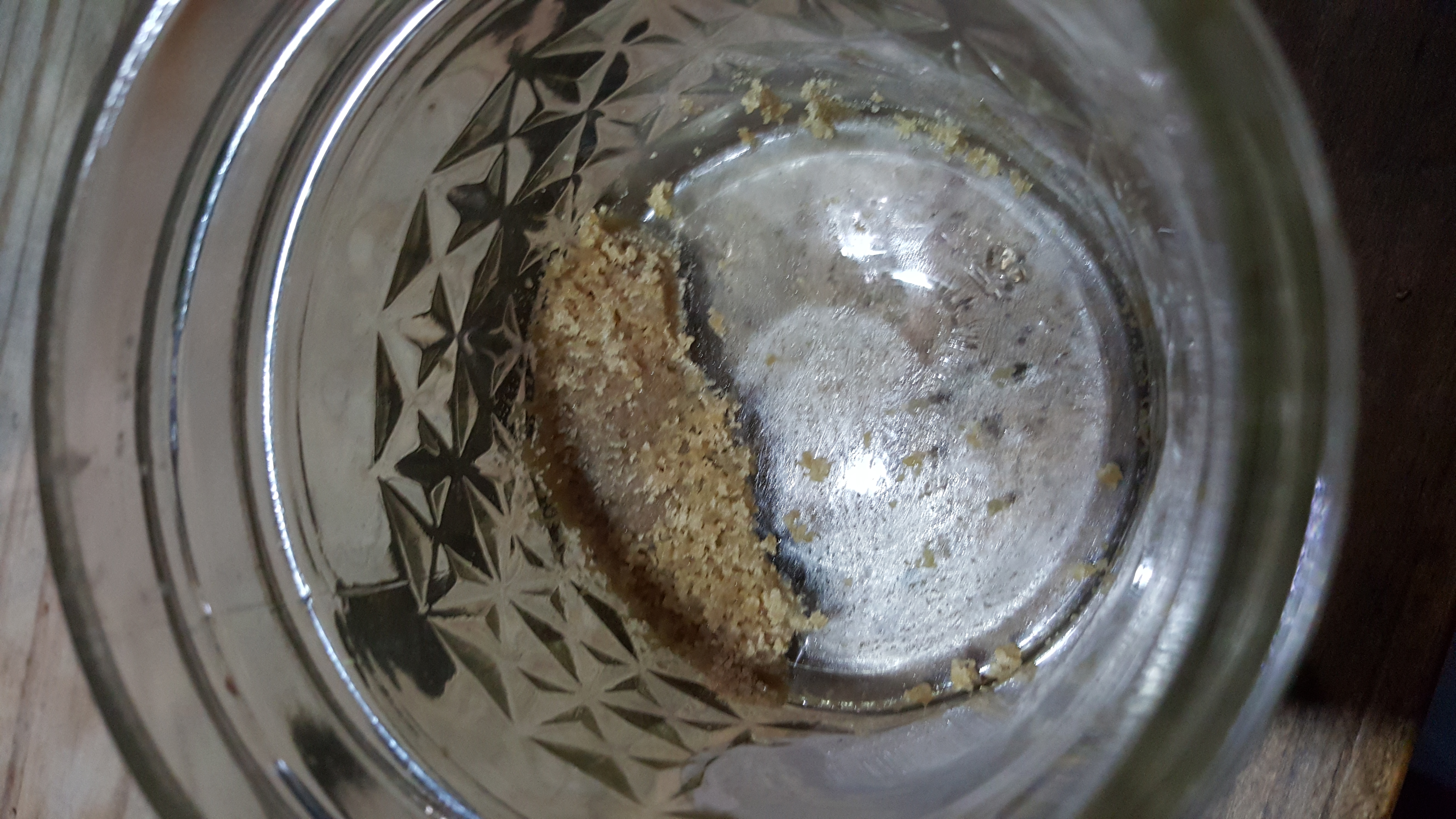 OG Kush cannabis strain